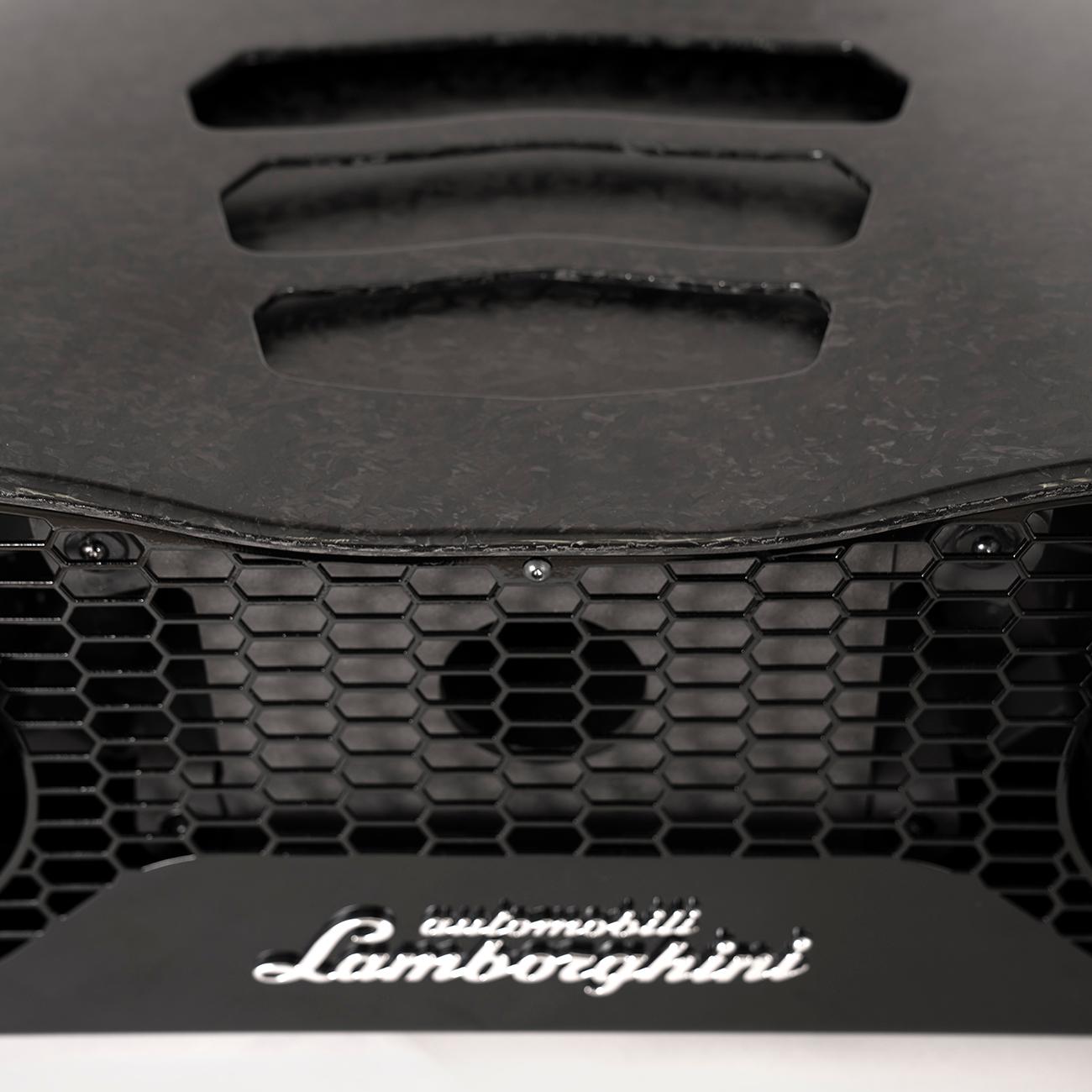 Hand-Crafted Lamborghini Carbon Speaker  For Sale