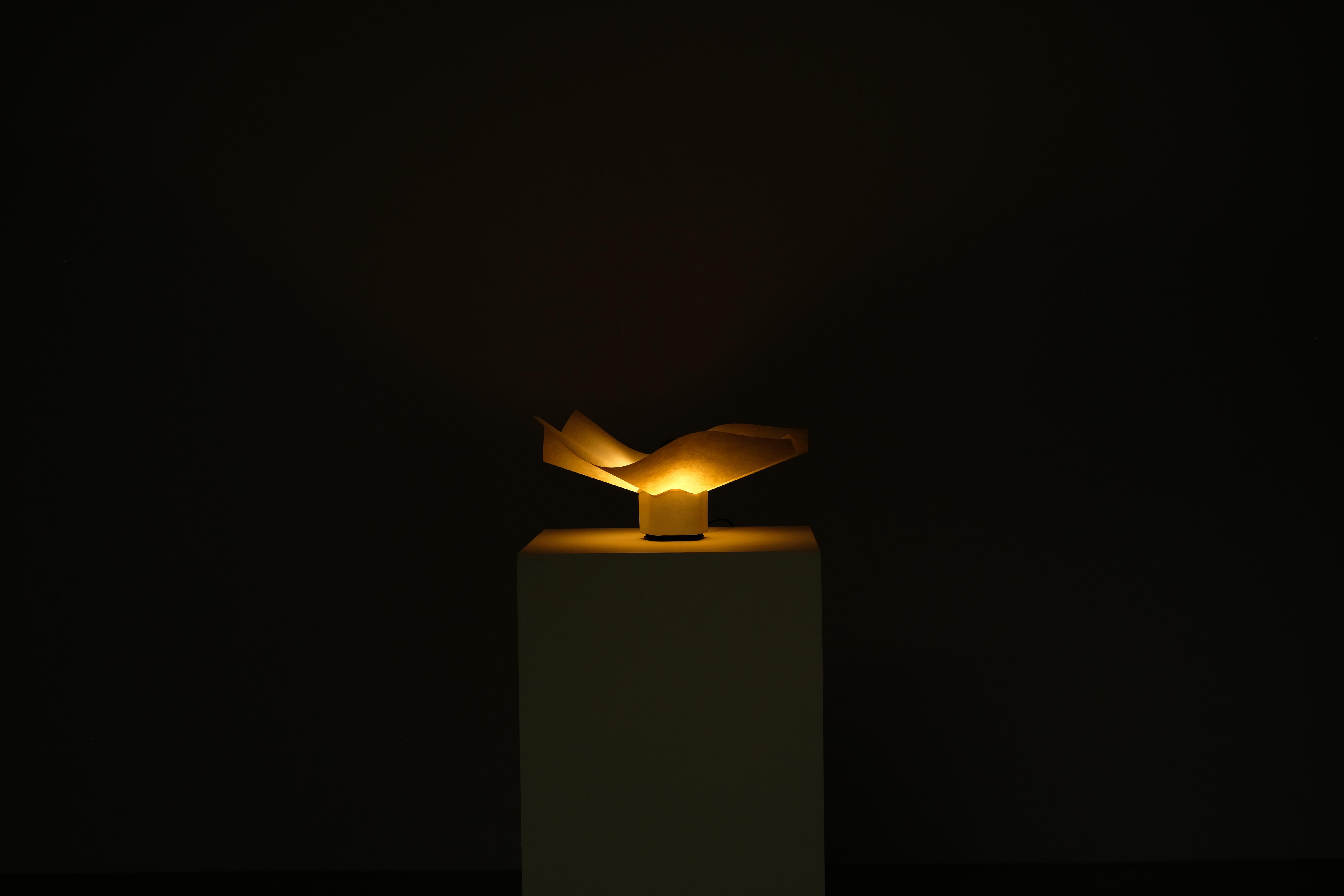 Modello di lampada 