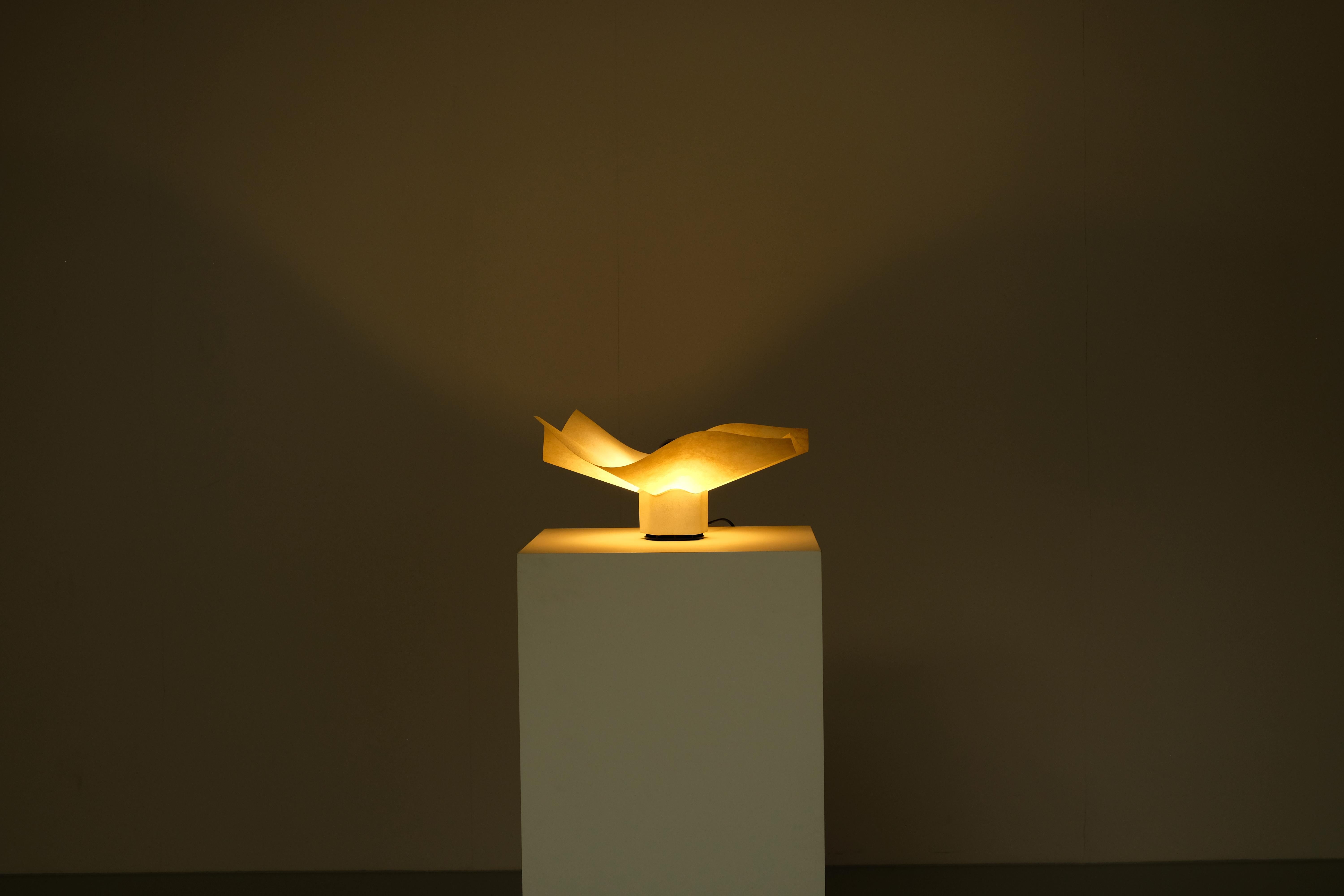 Lampada 