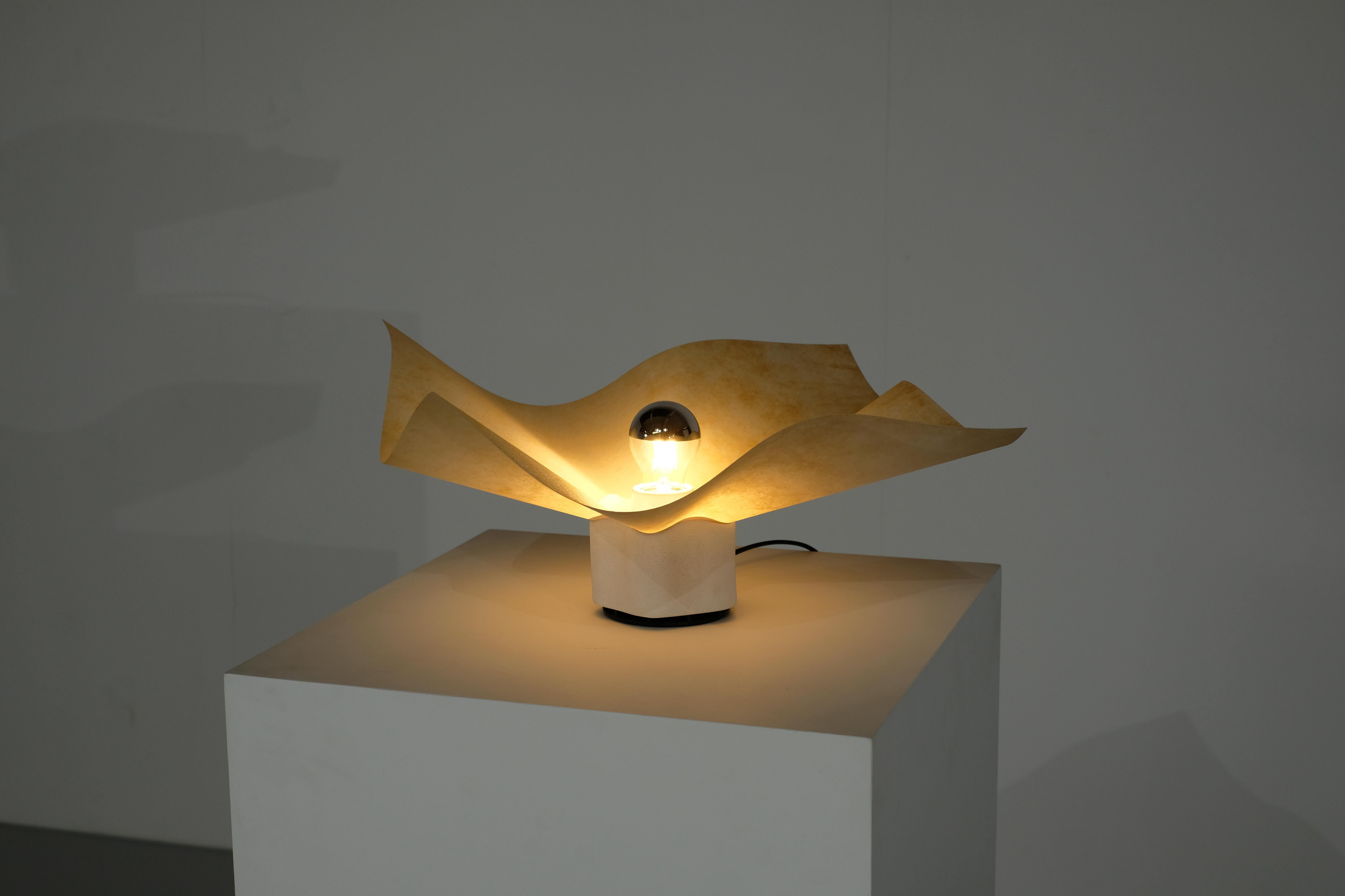 Porcellana Lampada 