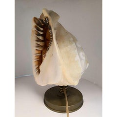 Lamp Carved in a Cameo Shell on a Bronze Base