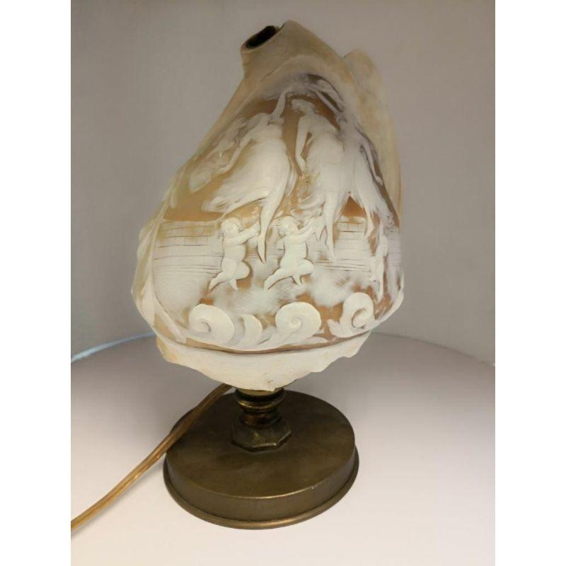 cameo shell lamp