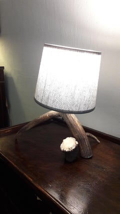 Lamp Deer Horn