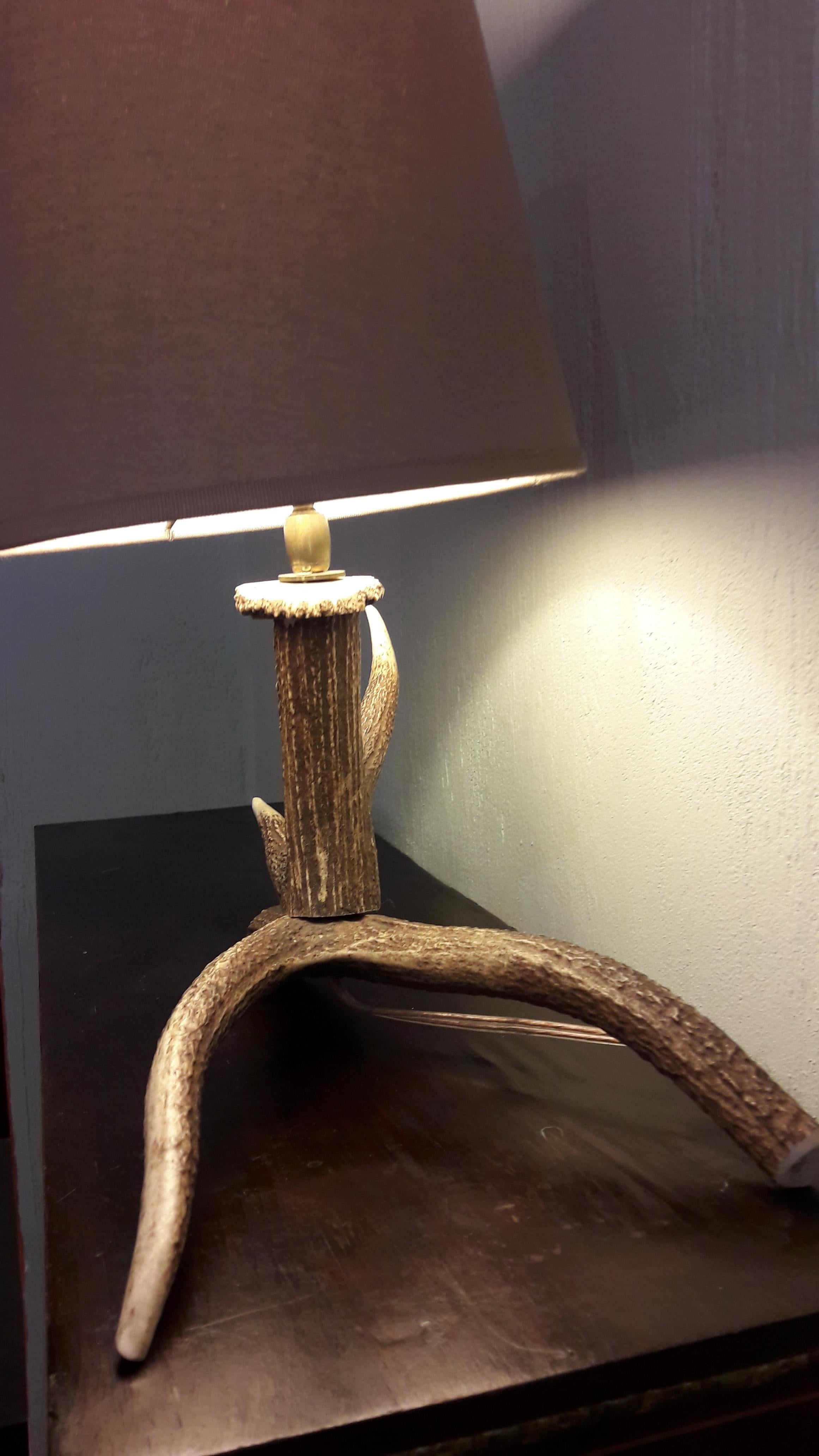20th Century Lamp Deer Horn For Sale