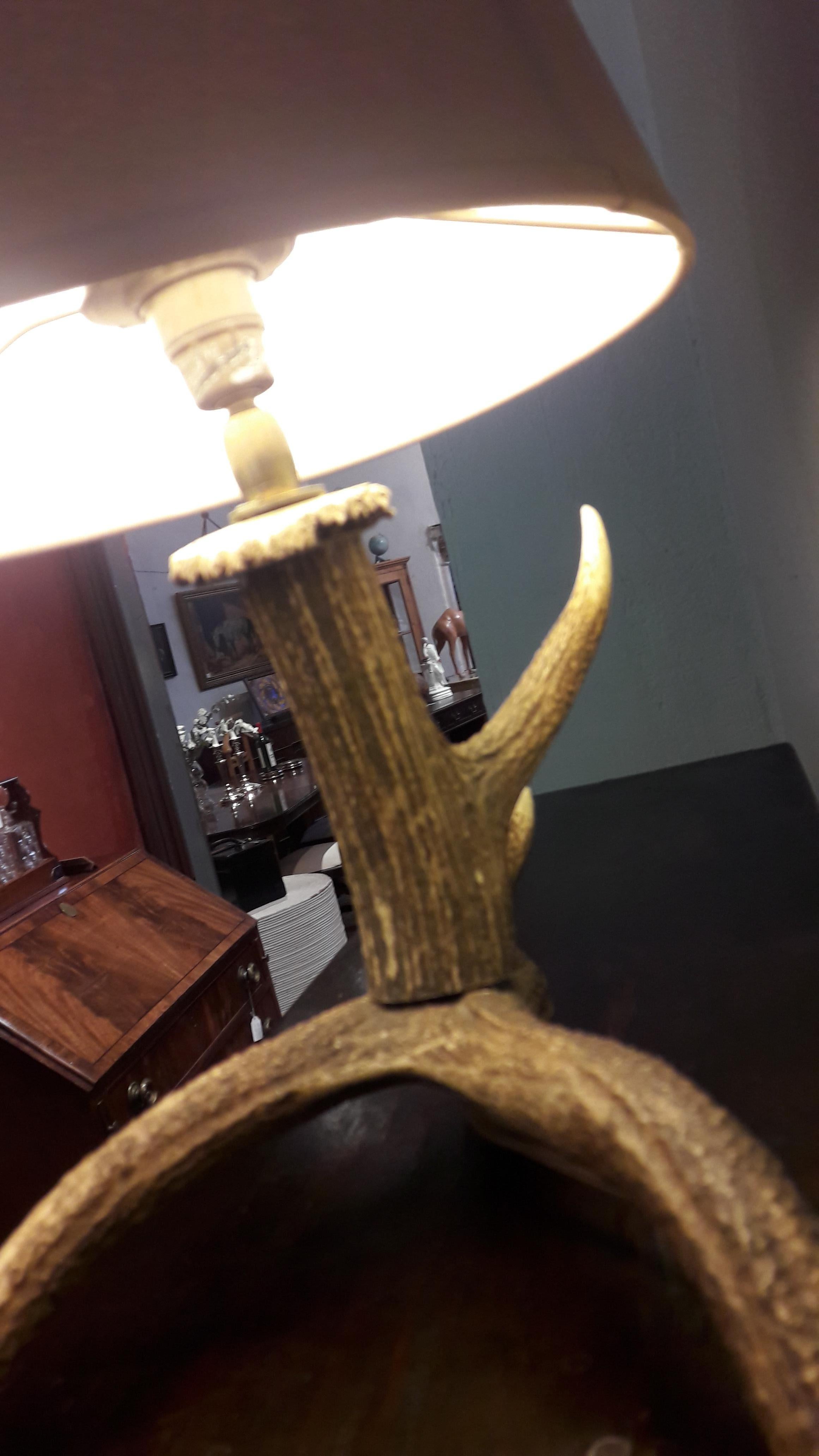 Lamp Deer Horn For Sale 1