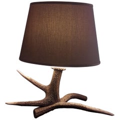 Vintage Lamp Deer Horn