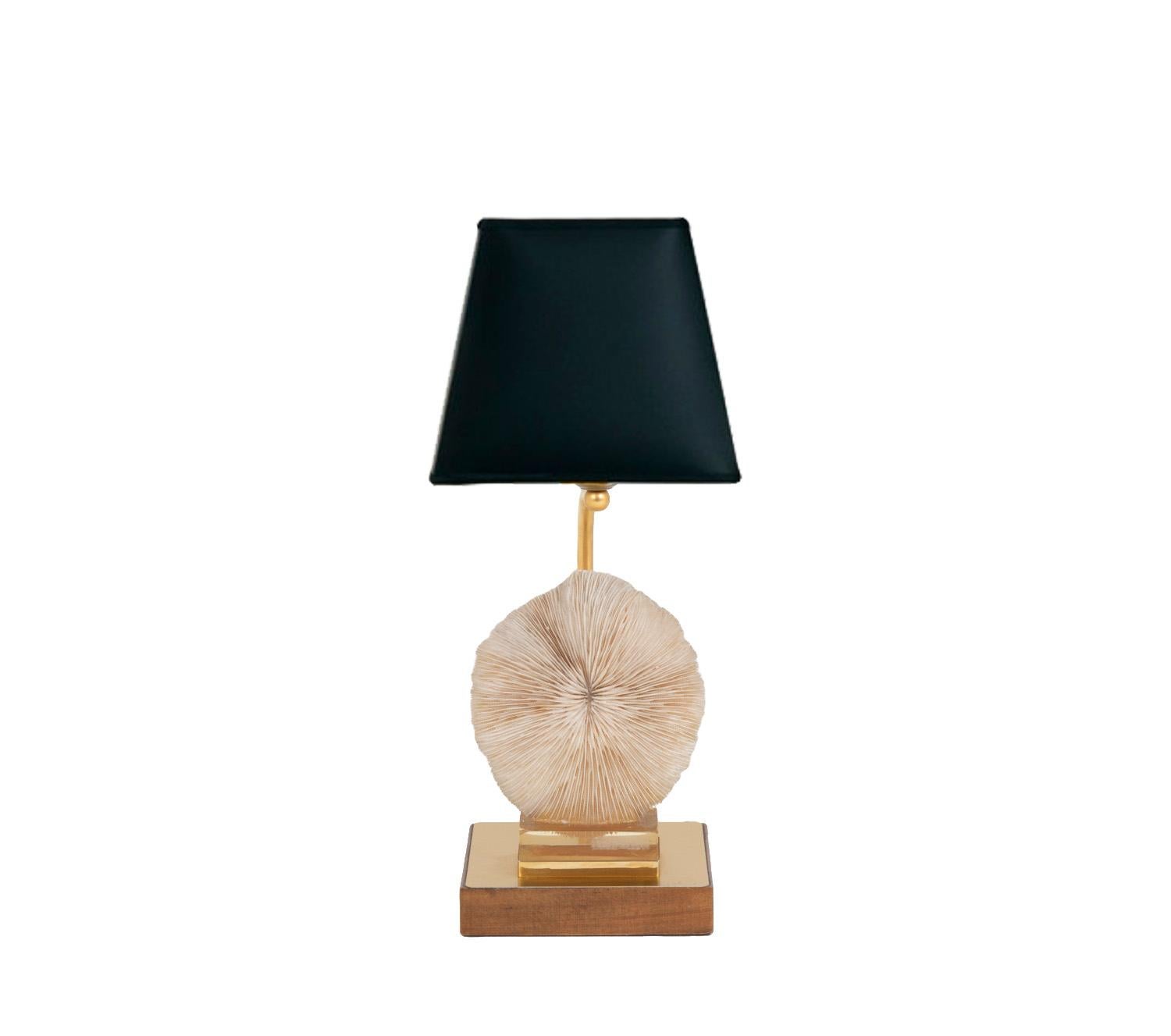 Lamp decorated with a Fungia Fungites coral fixed on resin. The whole stands on a gilt brass plate fixed on a square shape wood base.

Work realized in the 1970s.

New and functional electrical system.

!The price doesn’t include the lampshade