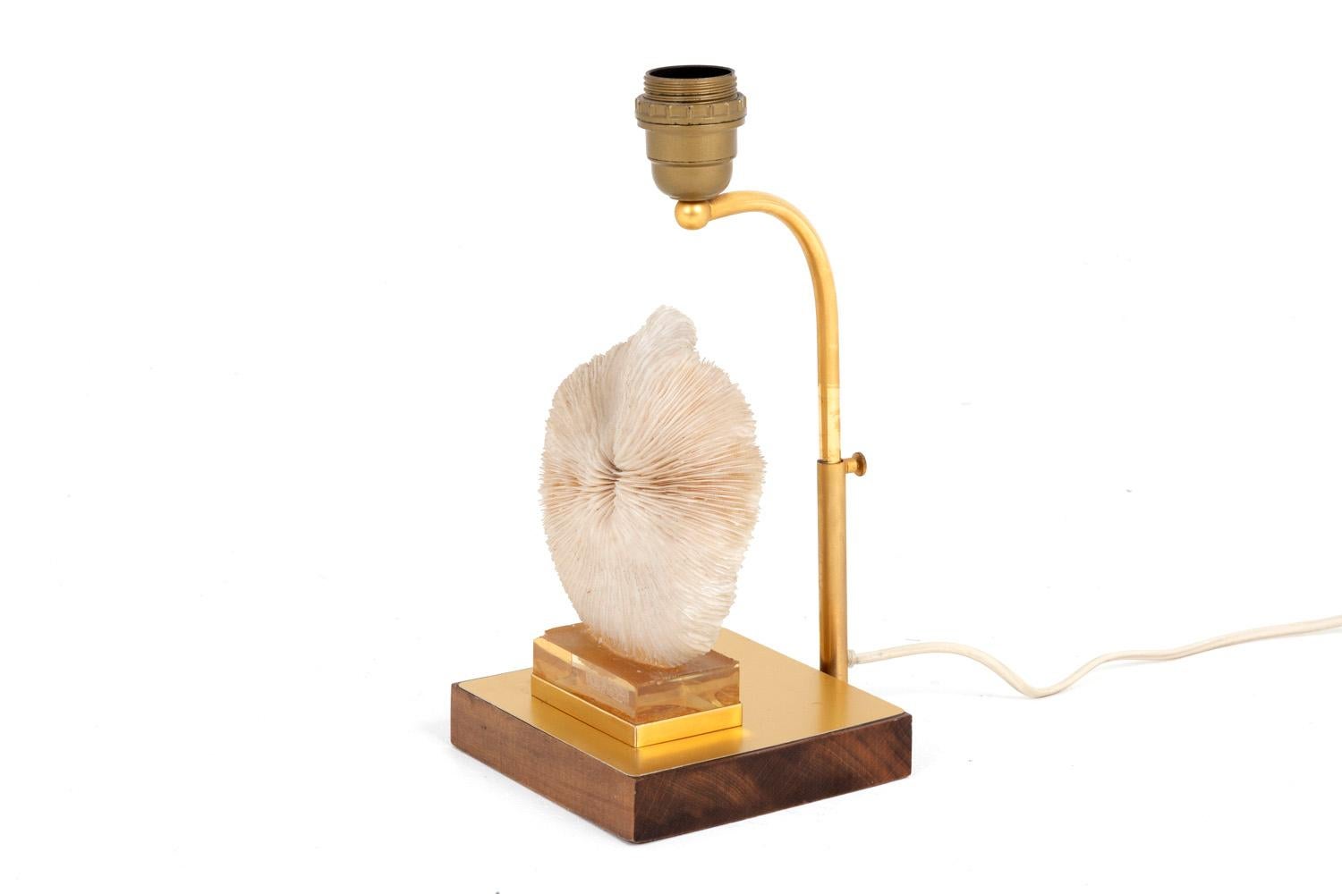 European Lamp Fungia Fungites Coral and Gilt Brass, 1970s For Sale