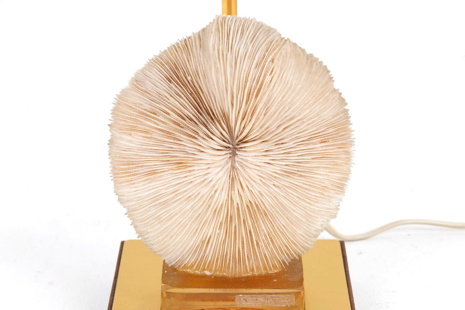 Lamp Fungia Fungites Coral and Gilt Brass, 1970s For Sale 1