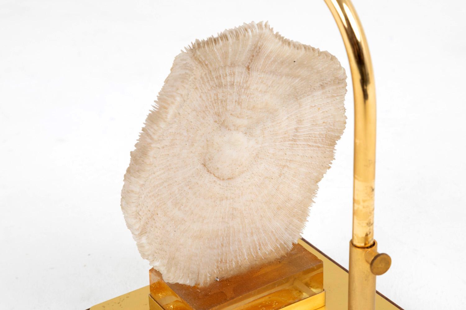 Lampe Fungia Fungites Koralle und vergoldetes Messing, 1970er Jahre im Angebot 1