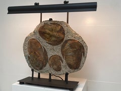 Table Lamp made out of 4  Trilobite Fossil Elements, mounted on an iron stand