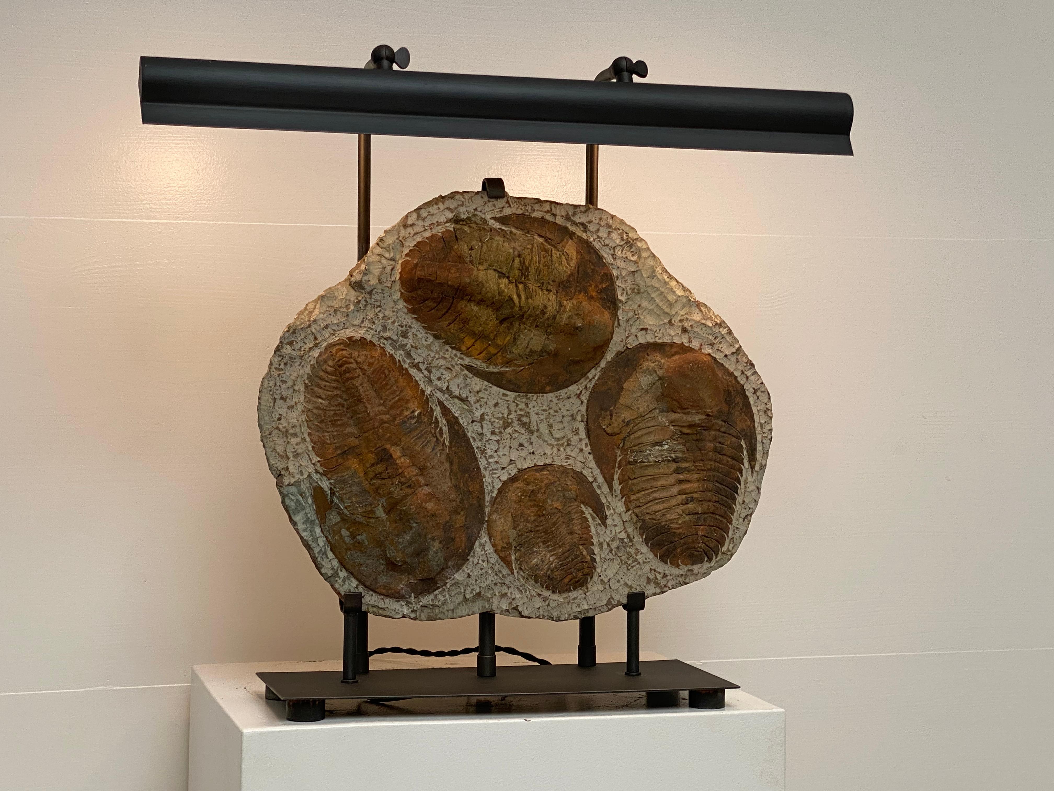Table Lamp made out of 4  Trilobite Fossil Elements, mounted on an iron stand For Sale 2