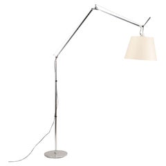 Lamp Tolomea Mega Terra De Lucchi Fassina Artemide Metal, Italy, 2000s