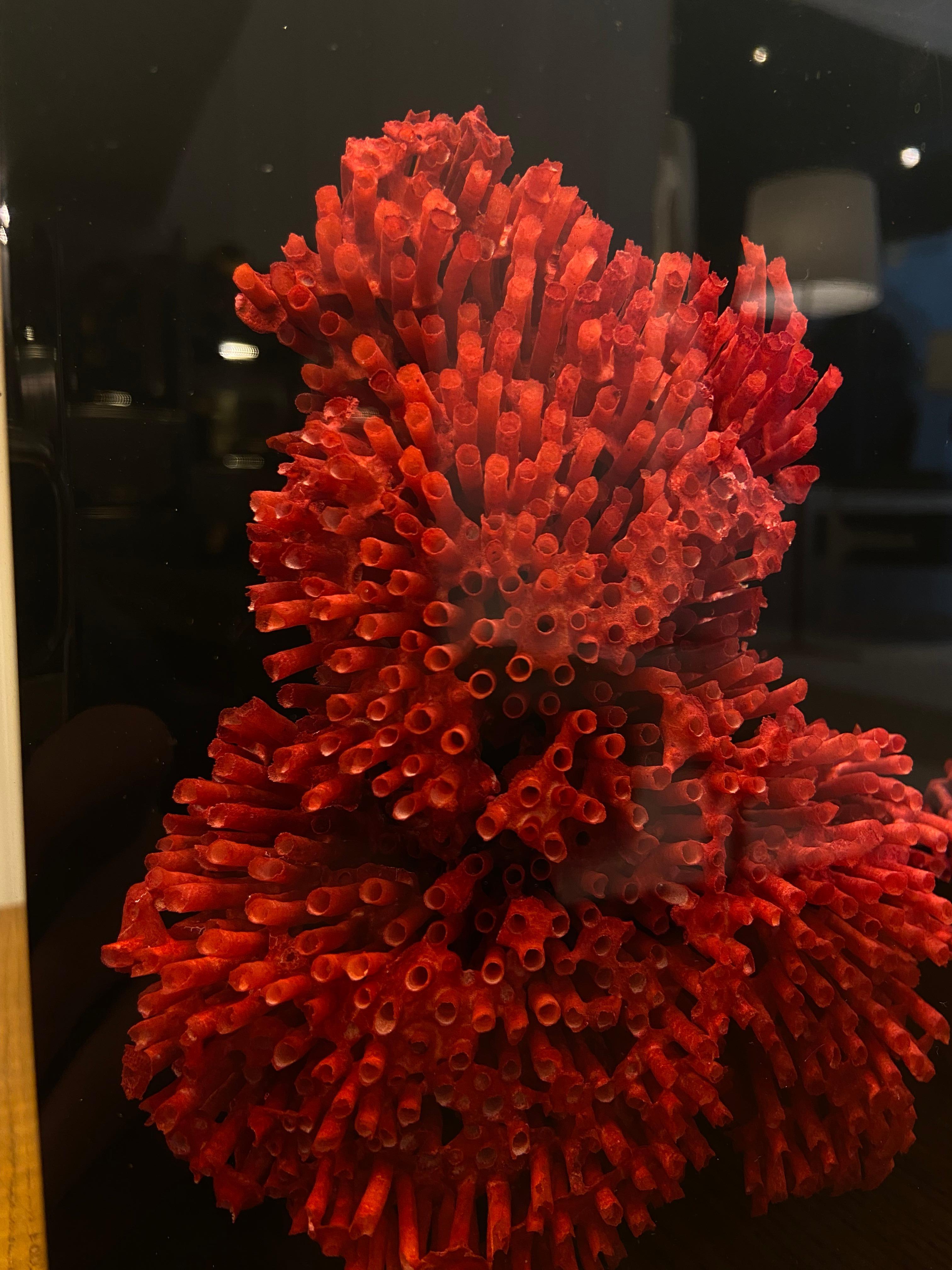 Lamp with a Coral Resin Inclusion by Pierre Giraudon In Good Condition For Sale In Saint-Ouen, FR