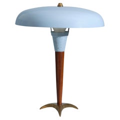 Vintage 1950s Table Lamp with Sky Blue Lacquer and Brass Base Vintage 1950s Table Lamp with Sky Blue Lacquer and Brass Base