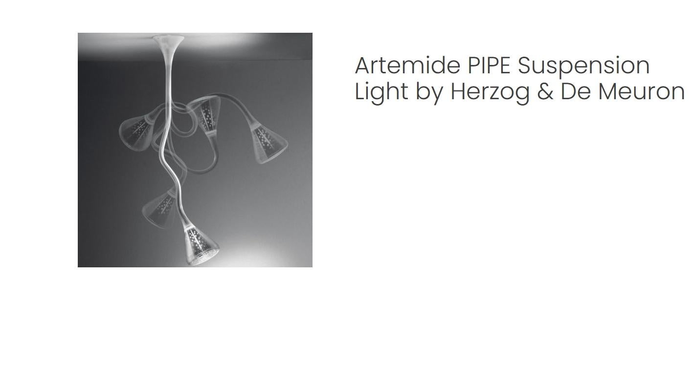 Lámpara de pie fluorescente regulable de Herzog & de Meuron para Artemide en venta 5