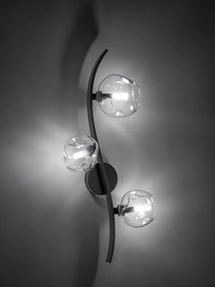 Nature wall lamp Colombia finish with clear Murano glass