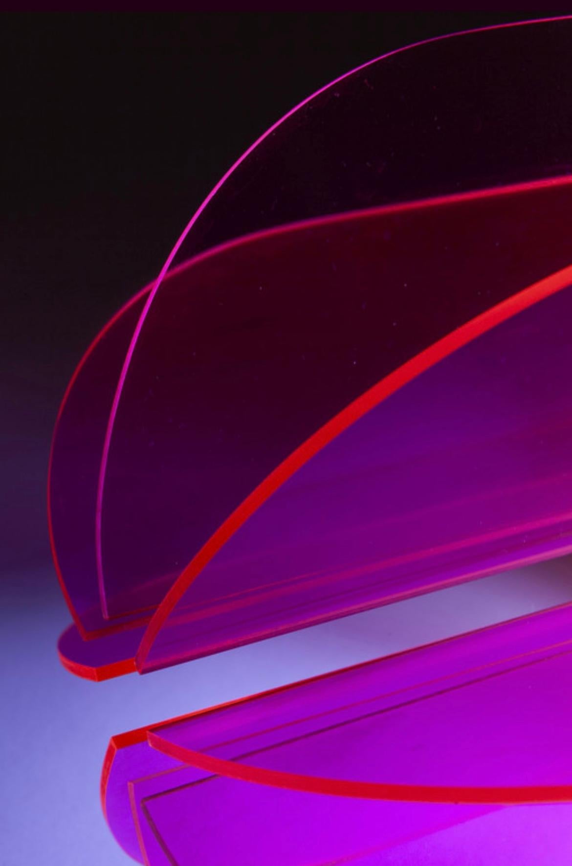 Lampe de  table de cactus  par Giovanni et Gianpiero Bassi pour Studio Luce en vente 1
