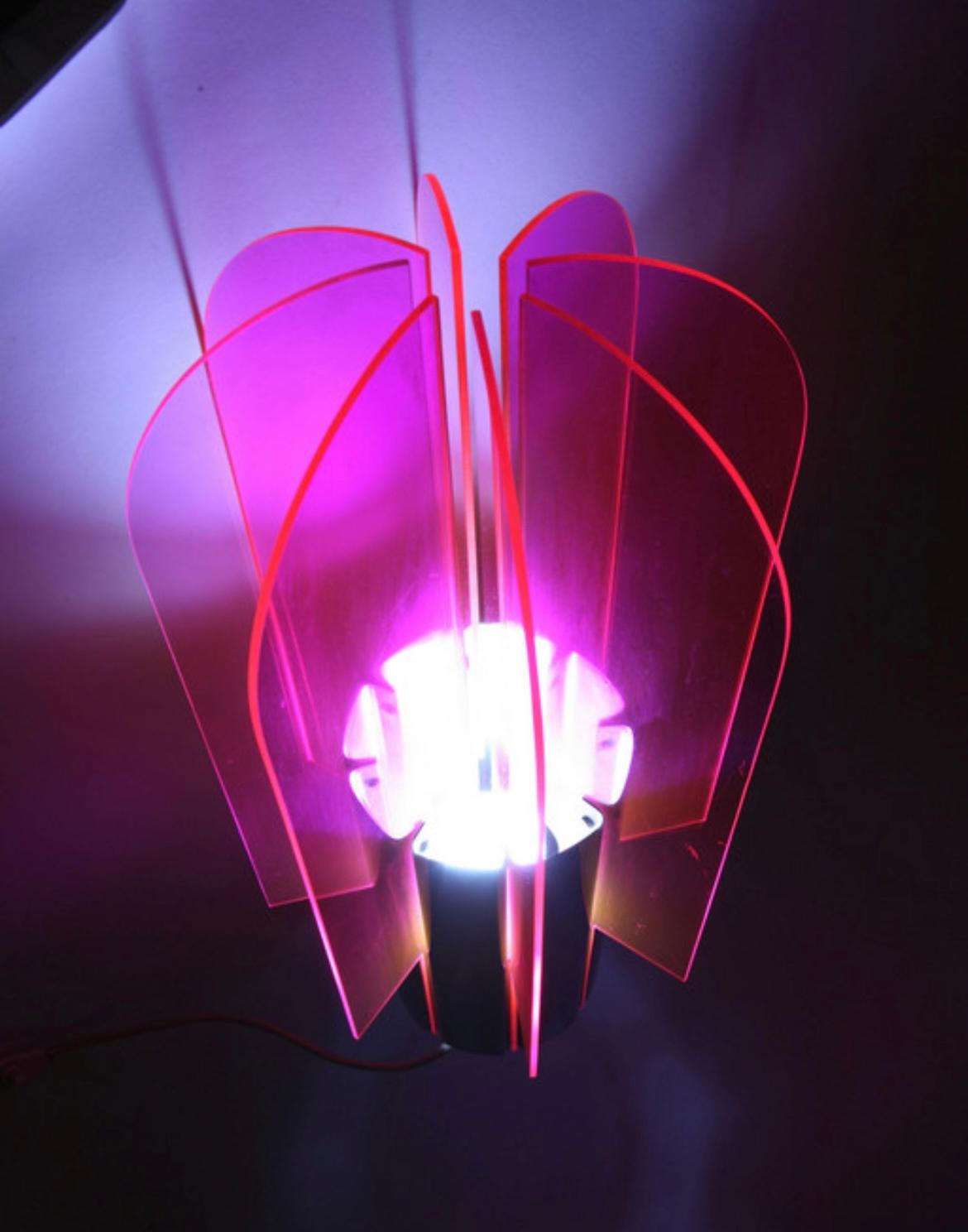 Lampe de  table de cactus  par Giovanni et Gianpiero Bassi pour Studio Luce en vente 2