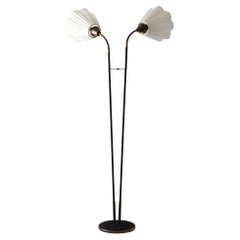 Floor lamp with two points of light