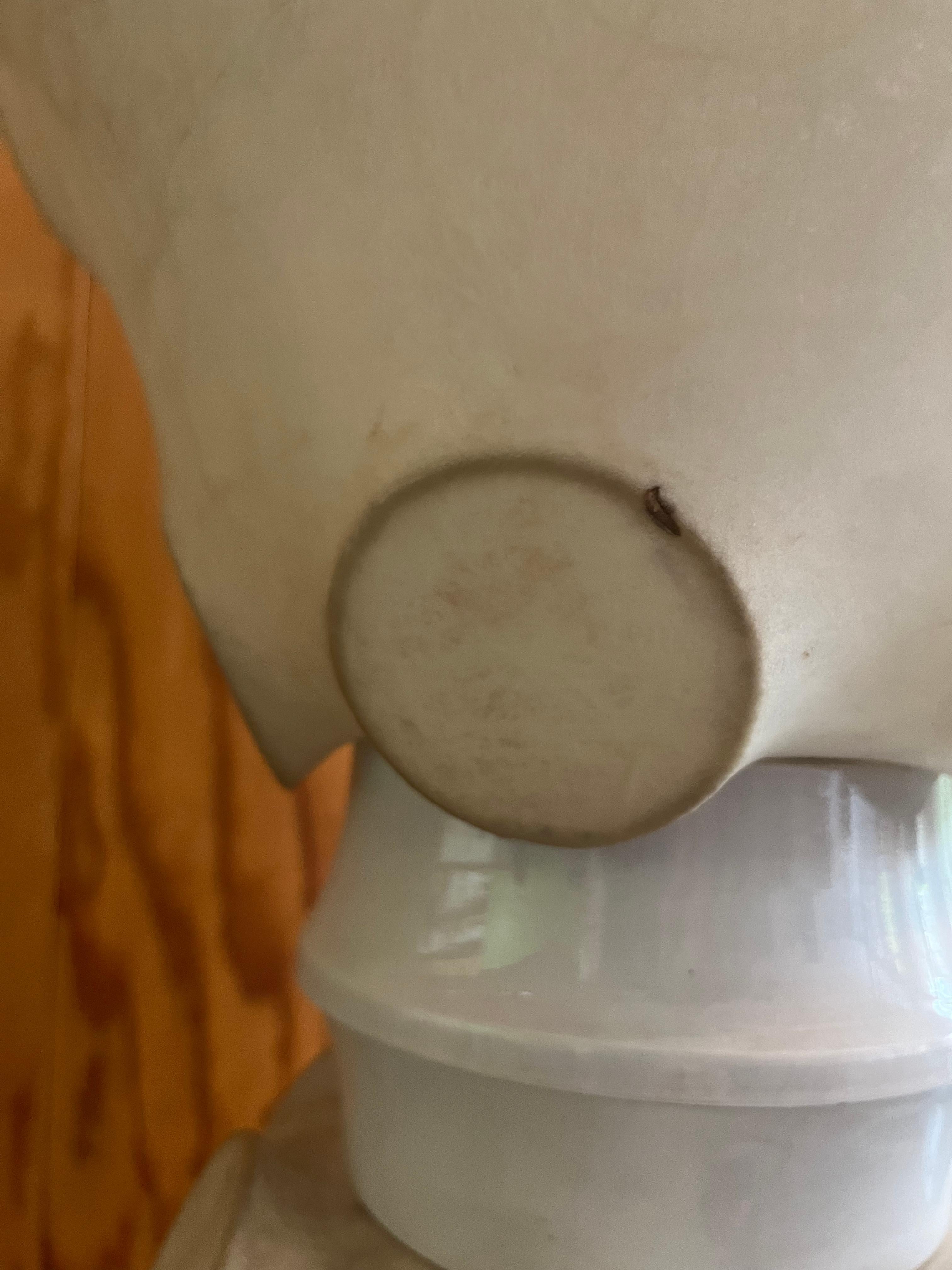Cocoon floor lamp - attributable to Flos, 1960s' For Sale 1