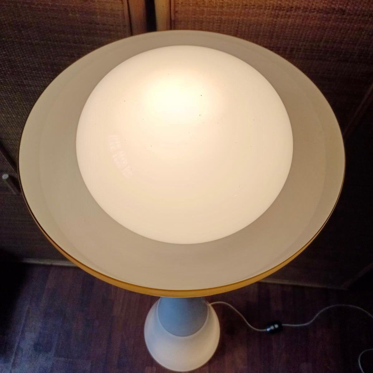 Metal Murano Glass Floor Lamp by C. Nason for Selenova - Italy - 1960s For Sale