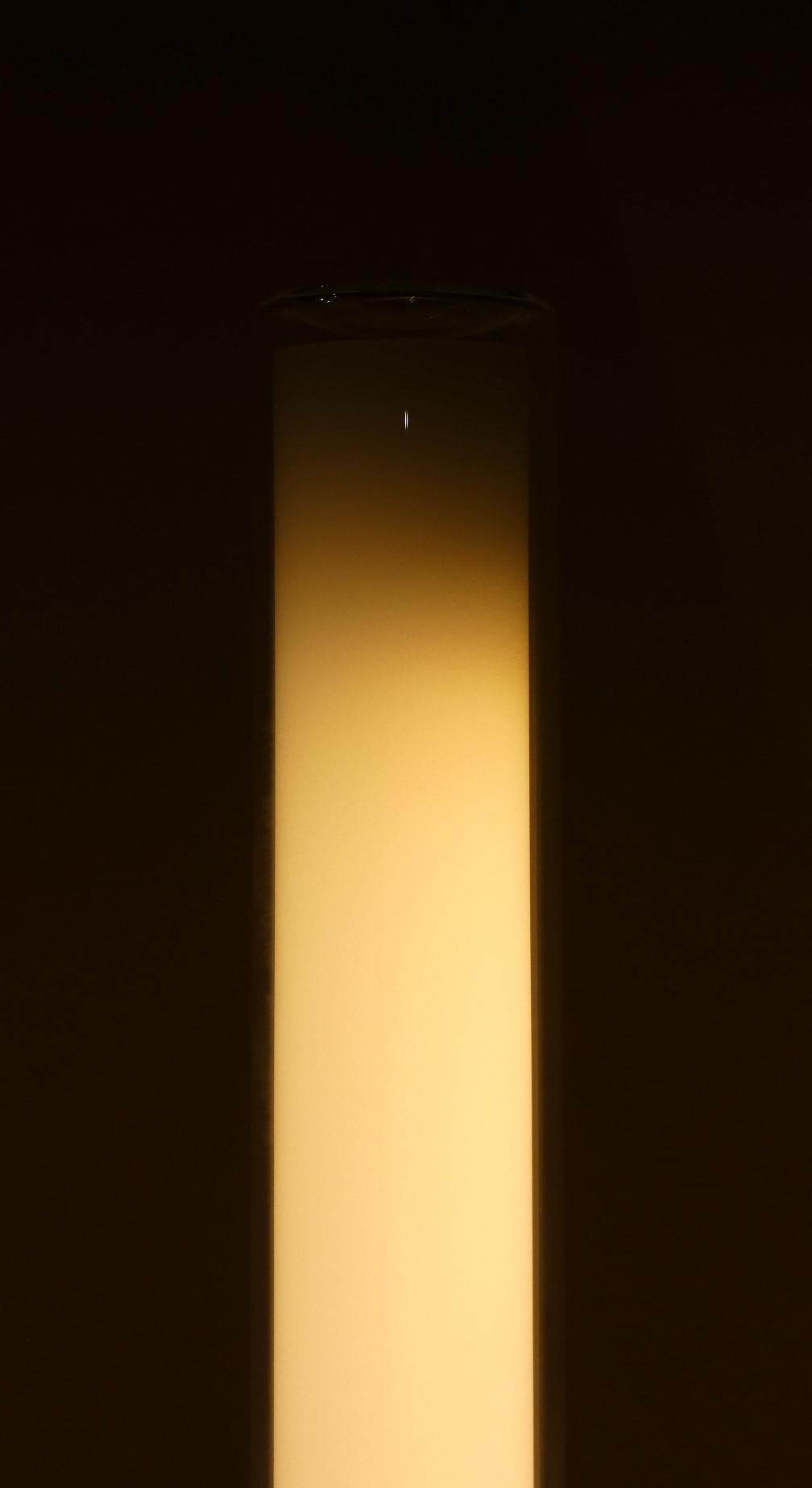 Italian Lampada da terra Teda in acciaio e pirex, Ferdi Giardini per Oluce in vendita