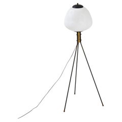 Floor lamp tripod brass and opal glass Italy 50/60s Mid-Century Modern