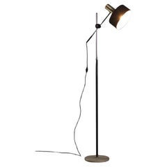 Lampada da Terra Vintage, Anni 60