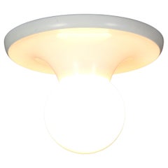 Lighting