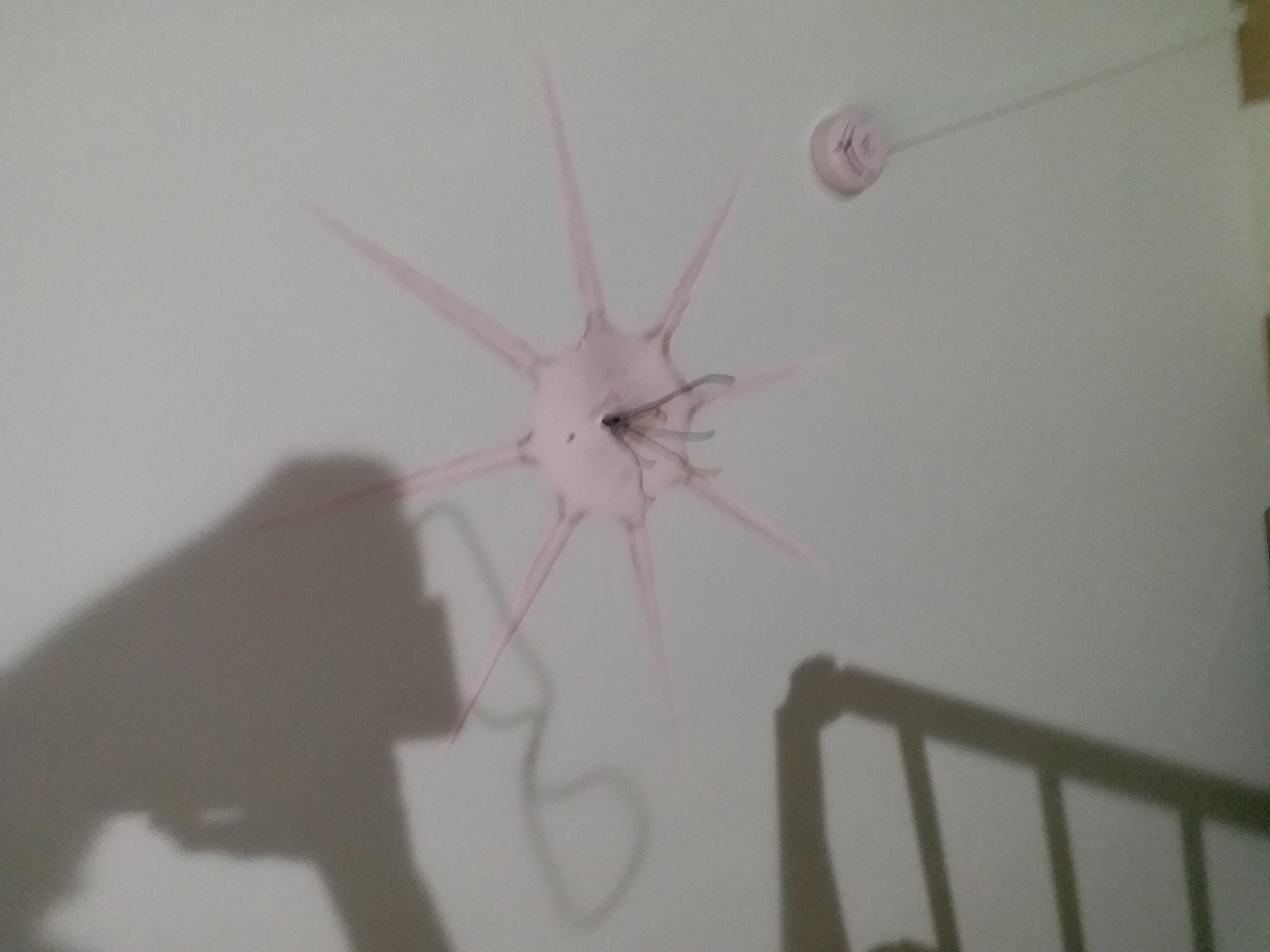 Lampada Sole Piccolo Arredoluce Monza per Gio Ponti 6 esemplari per London Hotel in vendita 1
