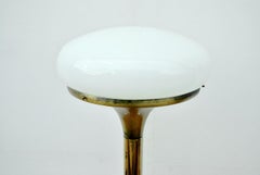 Gaetano Sciolari vintage floor lamp, 1970s