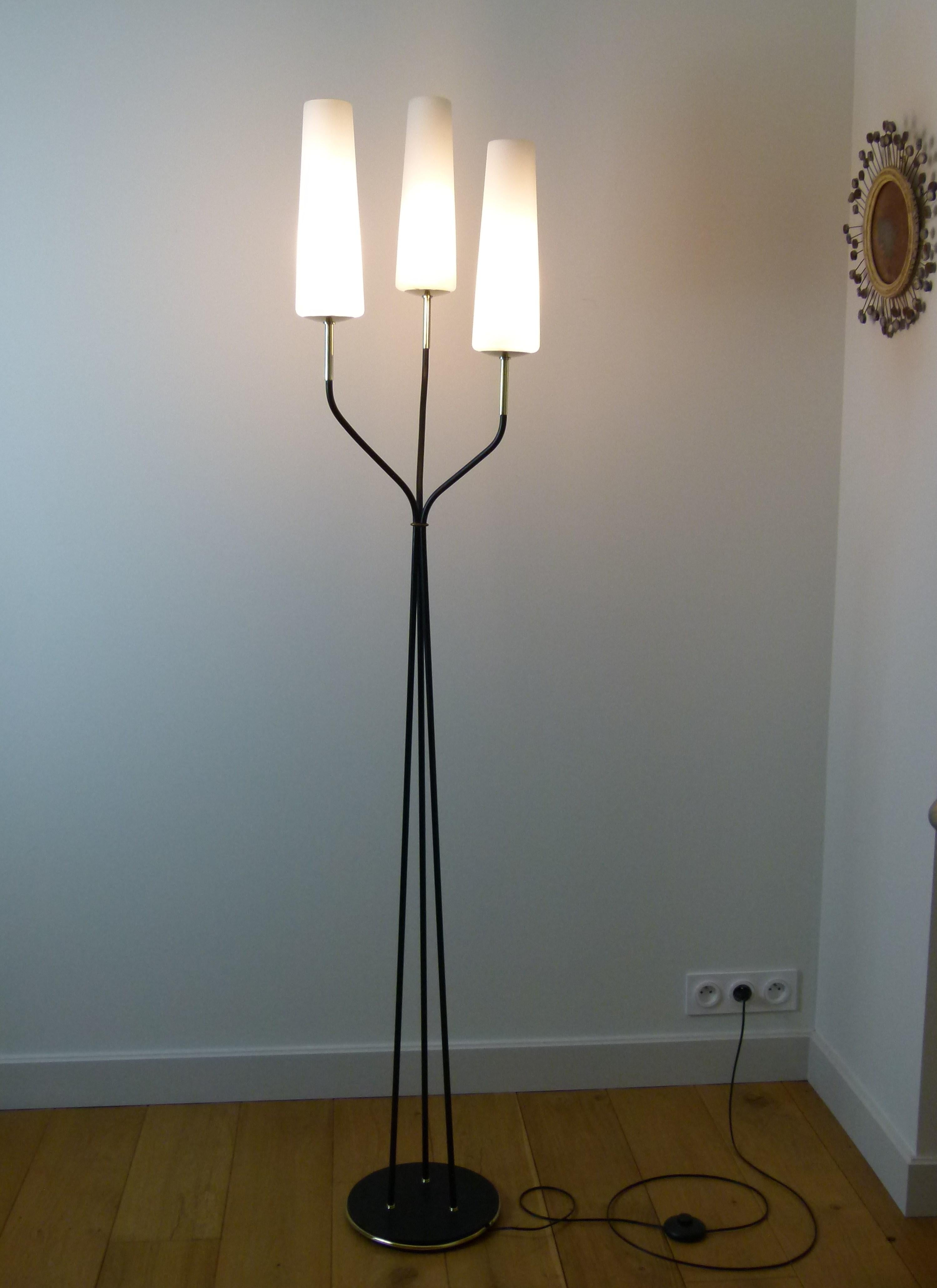 Floor lamp with three lights in black lacquered metal and brass, composed of a circular base in hammered cast iron set with a brass ring, on which leave 3 lacquered metal arm lights that join in their upper part, and starting to flare out of each