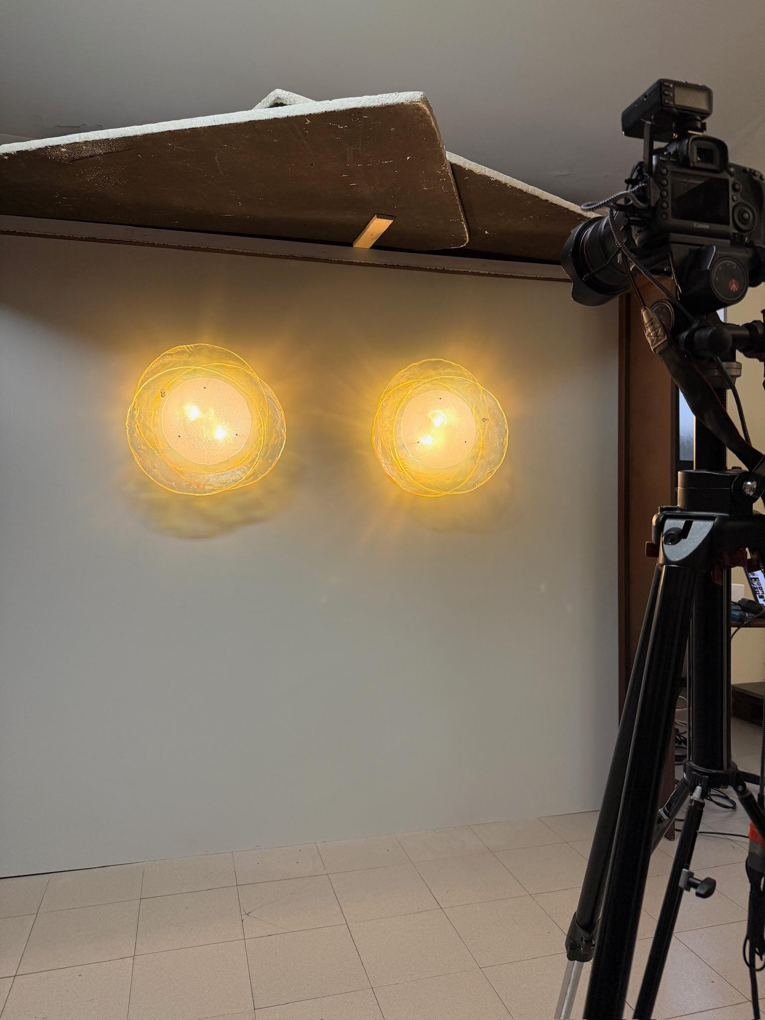 Aplique/flor de suspensión LS204, Carlo Nason para A.V. Mazzega en venta 6