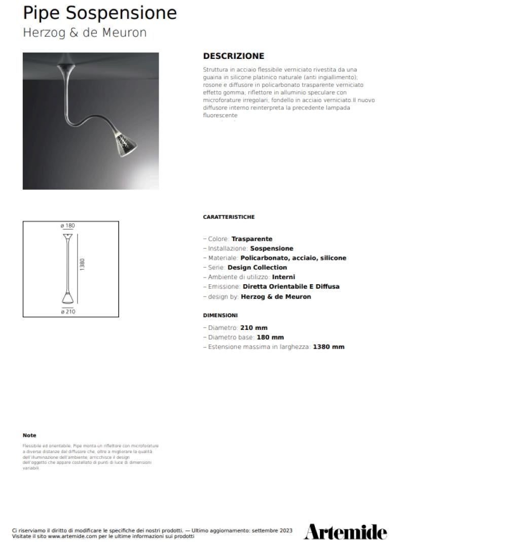 Lámparas de pie fluorescentes regulables de Herzog & de Meuron para Artemide Acero en venta