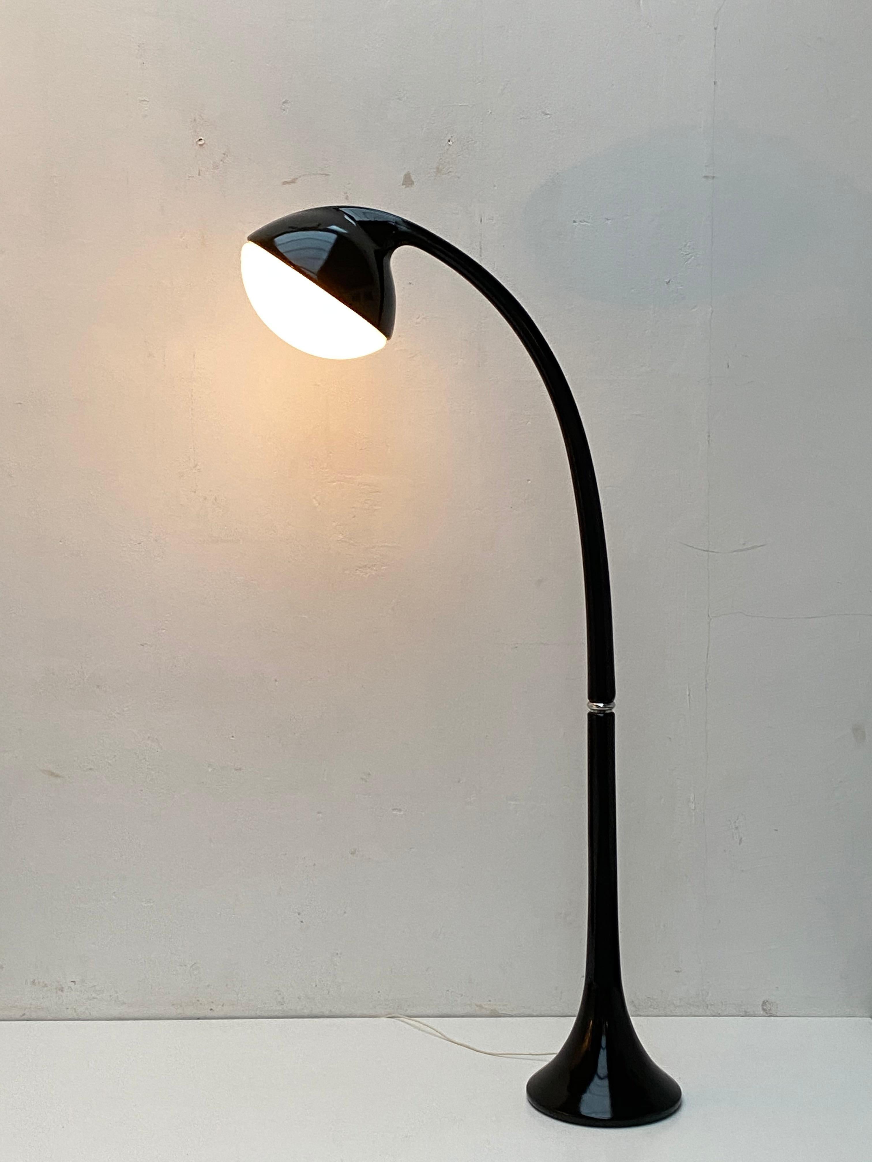 Molded 'Lampione' Floor Lamp by Fabio Lenci for DH Guzzini, Italy, 1968, Original Label