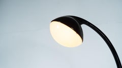 Lampione Floor Lamp by Fabio Lenci for Guzzini, 1970s