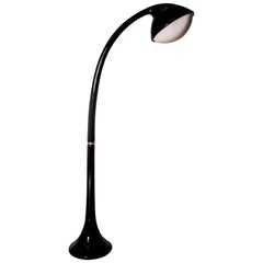 Lampione Floor Lamp by Fabio Lenci for Guzzini, 1970s