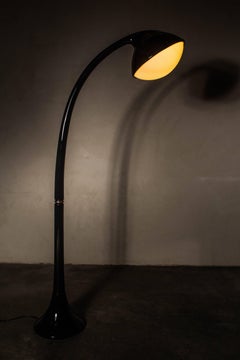 Lampione Floor Lamp by Fabio Lenci for Guzzini, 1970s