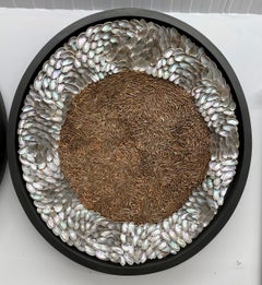 Land and Sea Concave