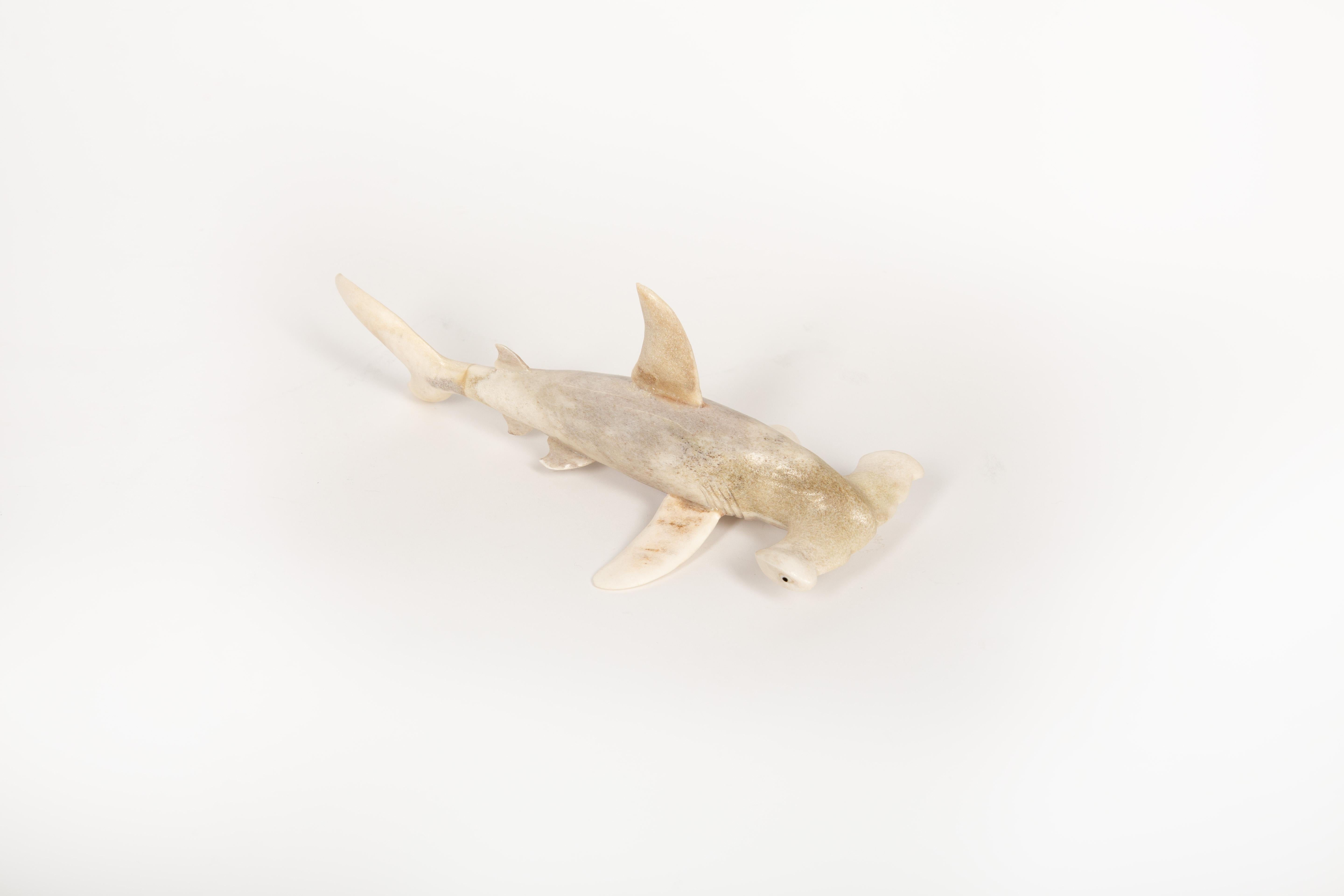 This hand-carved Hammerhead Shark sculpture is crafted from naturally shed moose antler, sourced from the United States and meticulously shaped by artisans in Indonesia. Measuring 7.75 inches long, this unique piece blends wildlife artistry with