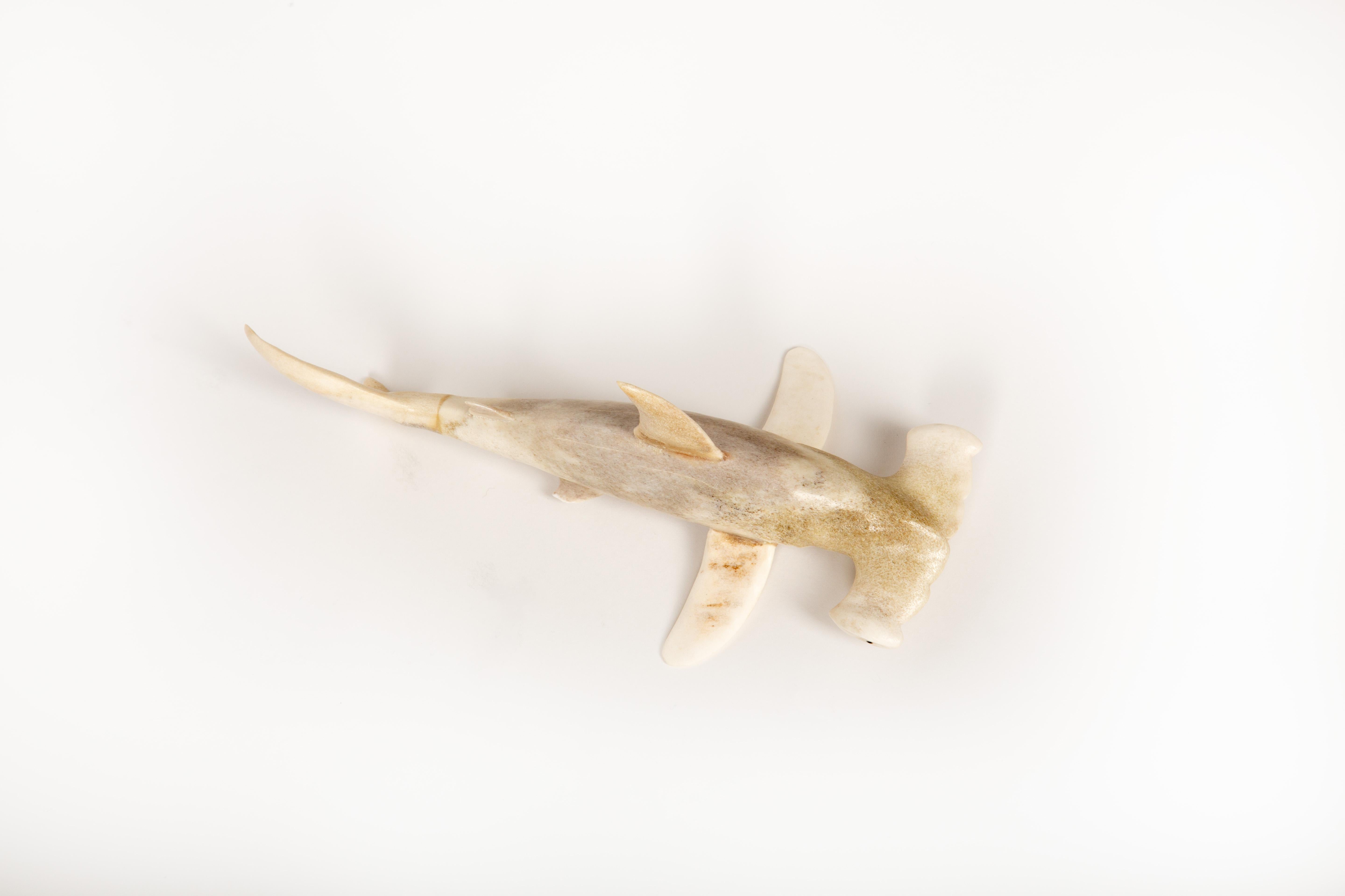 Land Meets Sea: Hand-Carved Moose Antler Hammerhead Shark For Sale 2