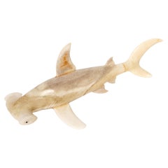 La terre rencontre la mer : mouton sculpté à la main, tête de requin Hammerhead