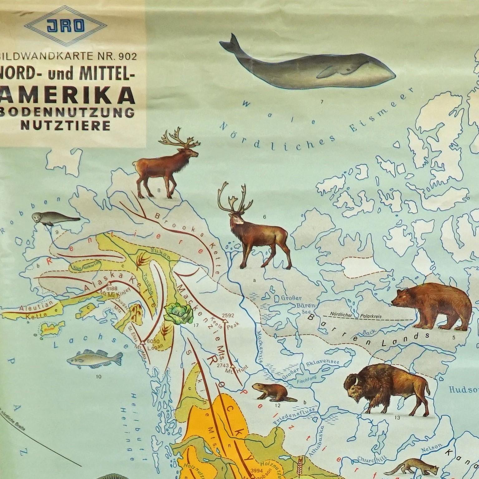 Die aufrollbare Vintage-Karte von Nord- und Mittelamerika zeigt Landnutzung und Viehbestand. Veröffentlicht von JRO. Farbenfroher Druck auf mit Leinwand verstärktem Papier.
Abmessungen:
Breite 90cm (35.43 inch)
Höhe 120cm (47.24 inch)

Die