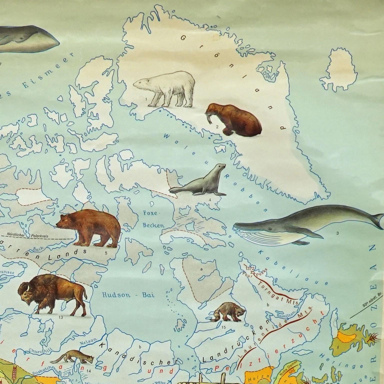 Country Utilisation des terres et élevage Amérique du Nord Carte murale Poster Mural en vente