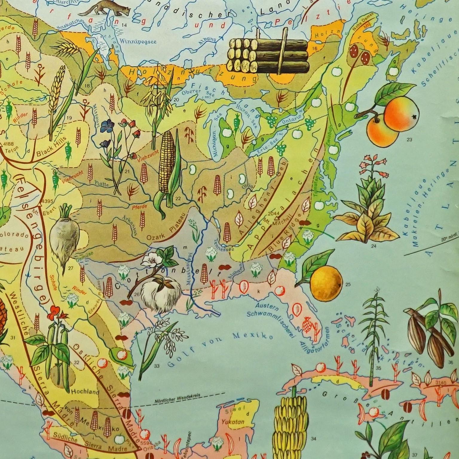 Utilisation des terres et élevage Amérique du Nord Carte murale Poster Mural Bon état - En vente à Berghuelen, DE