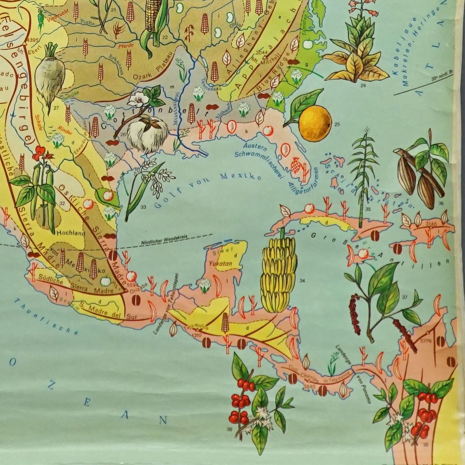 20ième siècle Utilisation des terres et élevage Amérique du Nord Carte murale Poster Mural en vente