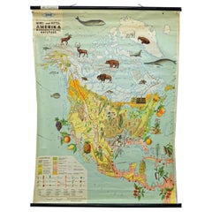 Land Use and Livestock North America Picture Map Wall Chart Poster Mural