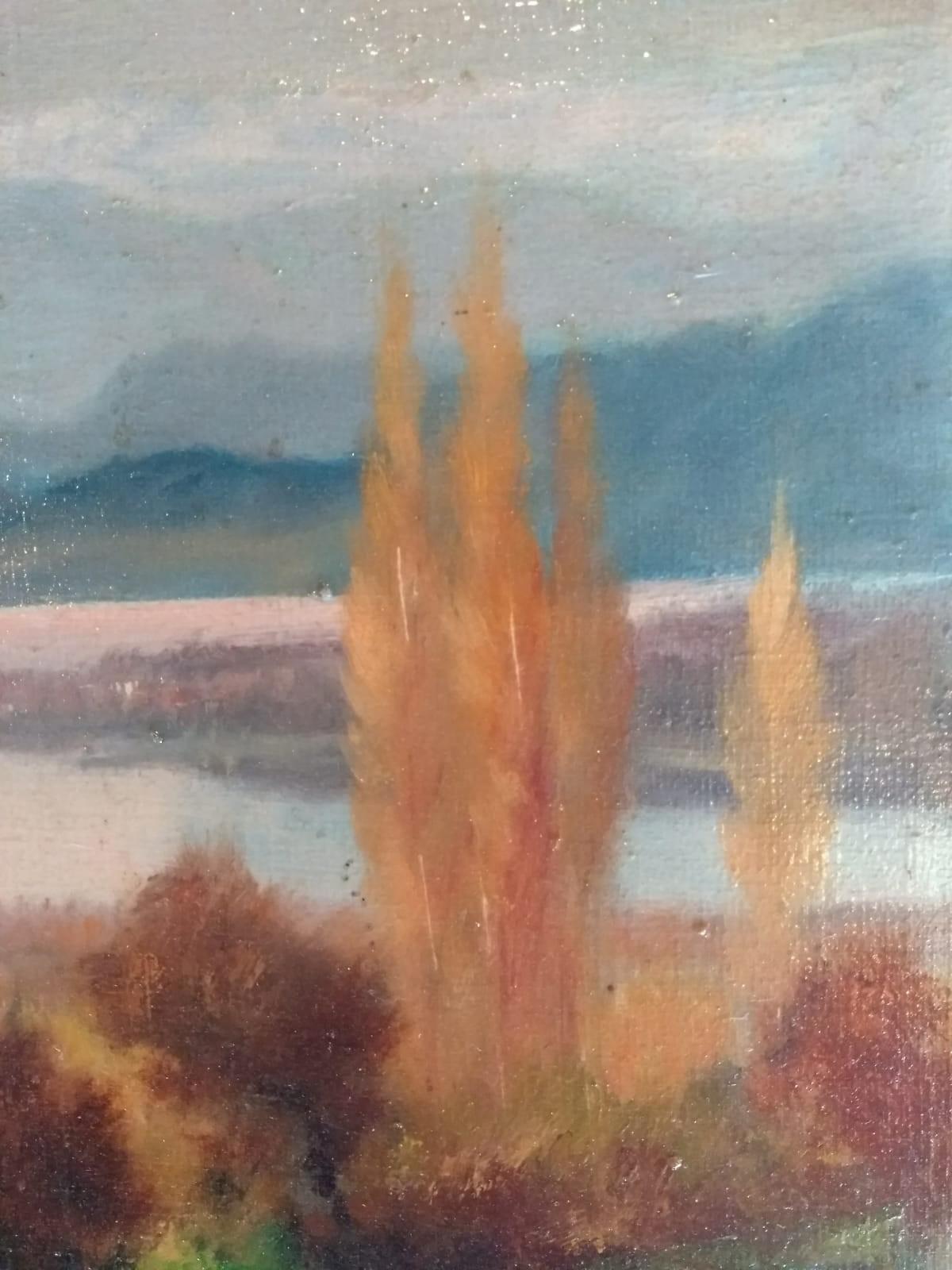 Hand-Painted Landscape, Lago di Varese, 