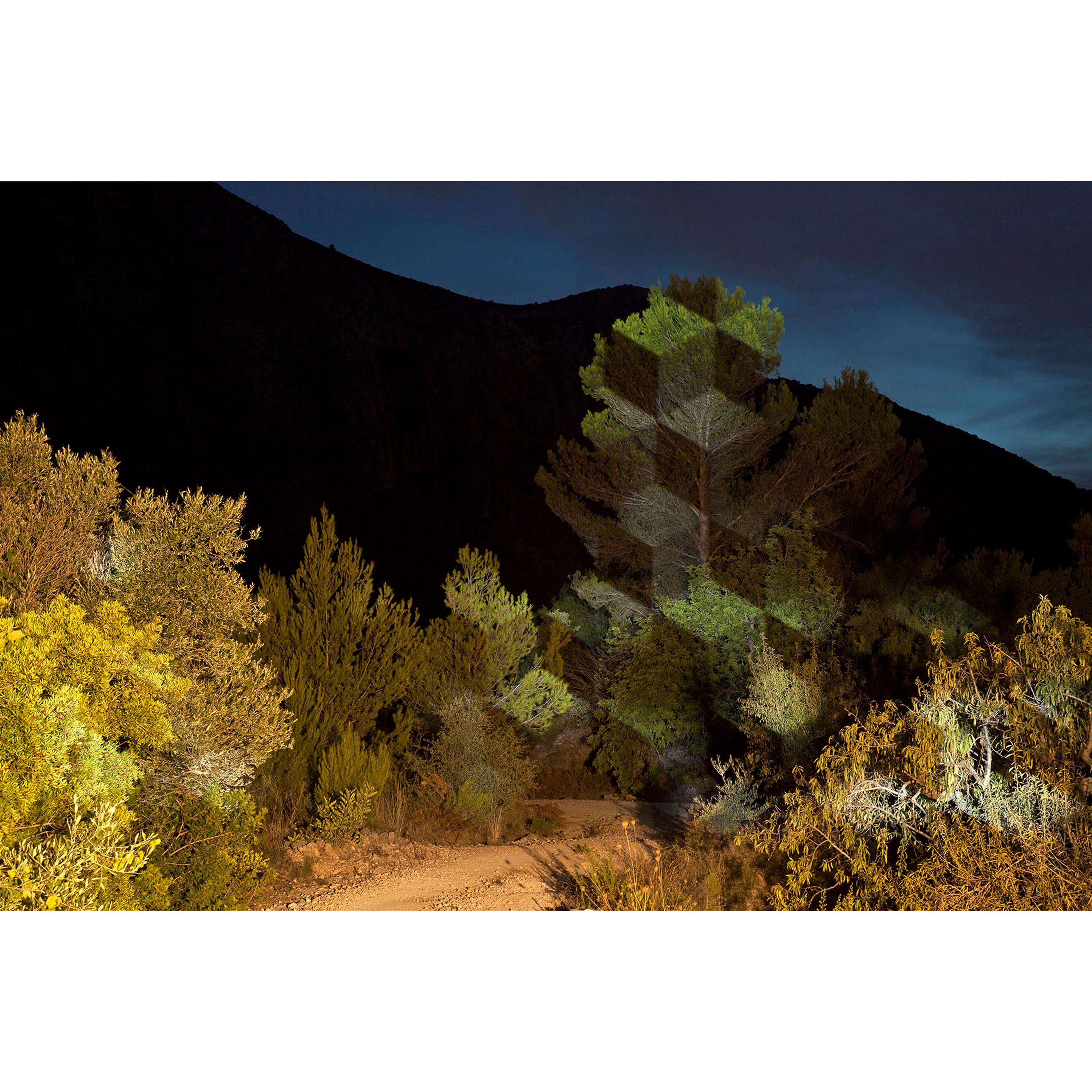 The photograph is part of a series called Landscape Light Interventions. It is framed with white metal and transparent glass.

In Javier Riera's work, geometric shapes of light are projected directly onto vegetation and landscapes. Using